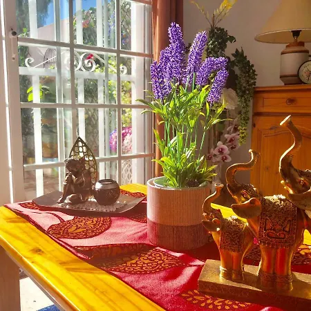 Casco La Estrella, Cerca De Garachico 公寓 *