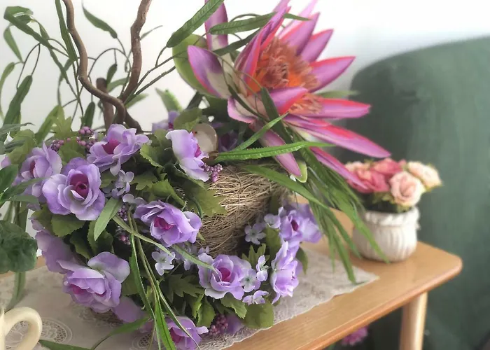 公寓 Casco La Estrella, Cerca De Garachico